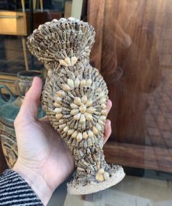 Vase Muscheln (268f)