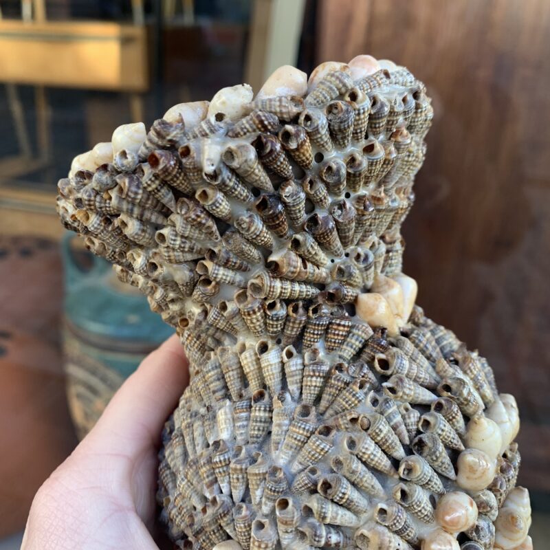 Vase Muscheln (268f) – Bild 4