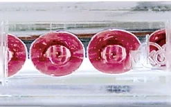 LED Schlussleuchte Jokon Farbe transparent mit roter LED 12 V